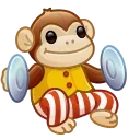 Jolly Chimp